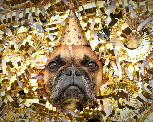 4 New Year’s Resolutions for You and Your Dog
