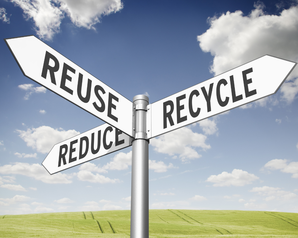 5 Earth-Friendly Choices for Dog Owners