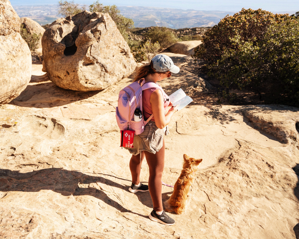 6 Tips for Hiking with Your Dog