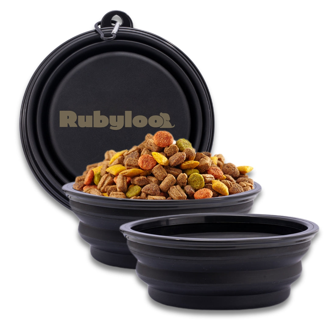 Large Collapsible Dog Bowls (2 pc set)